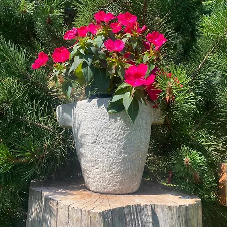 Alaska House Bering - Sauna And Relax Apartment Trento