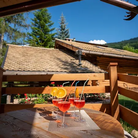 Alaska House Bering - Sauna And Relax Apartment Trento