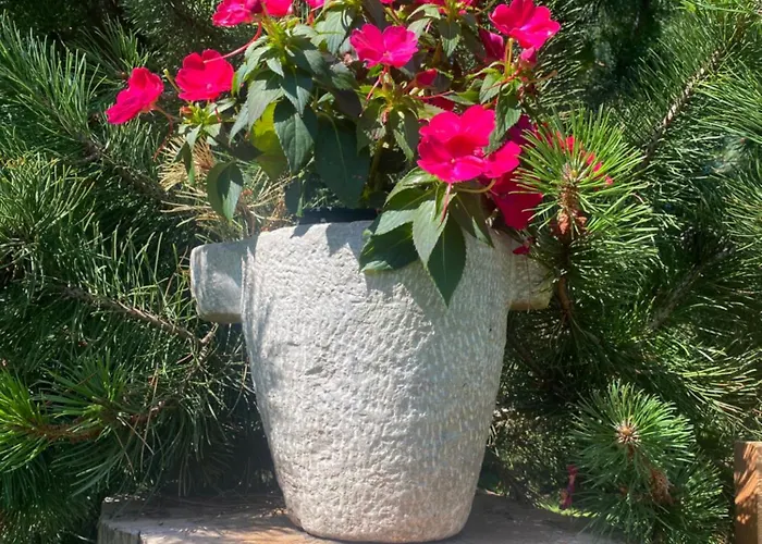 Alaska House Bering - Sauna And Relax Apartment Trient